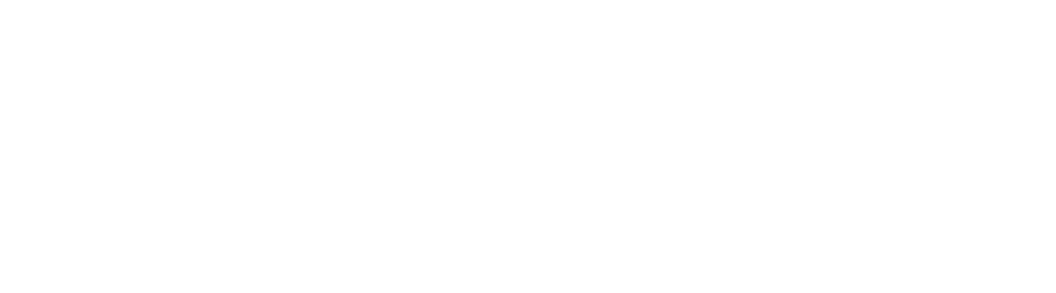 Standard Logo