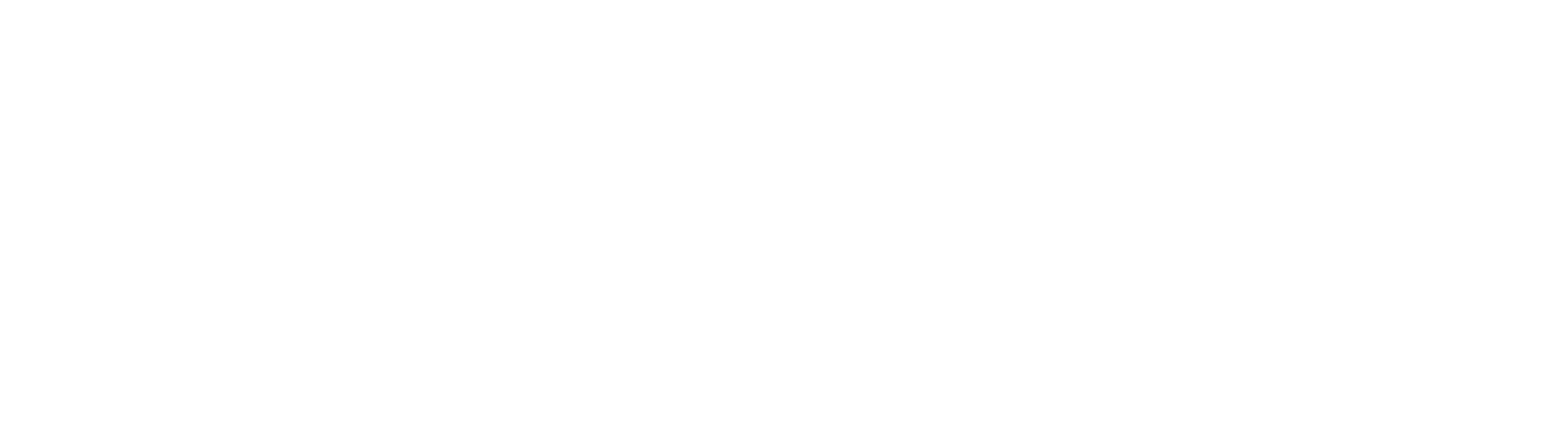 Standard Logo